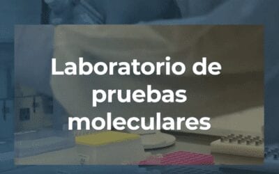 LifeGene Opens Molecular Biology Laboratory in Vega Baja, PR